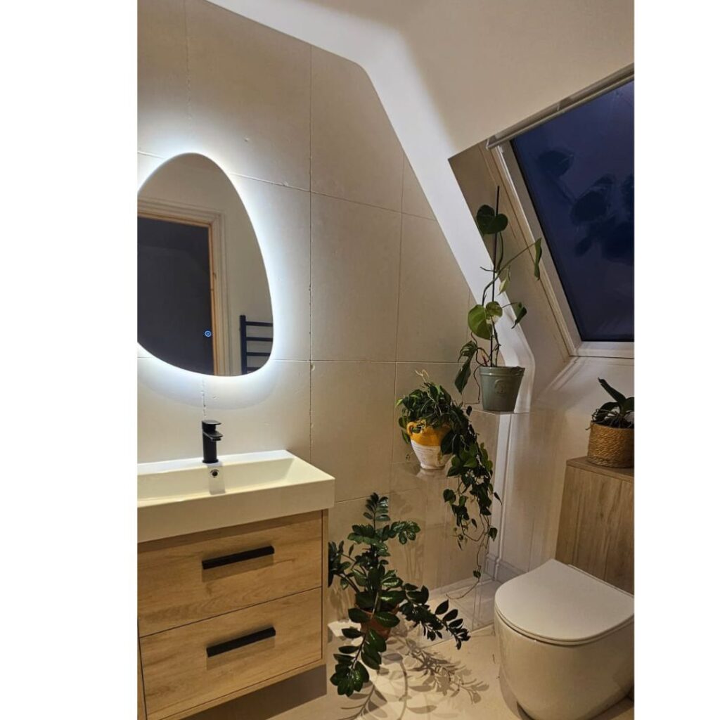 Modern ensuite bathroom with feature mirror