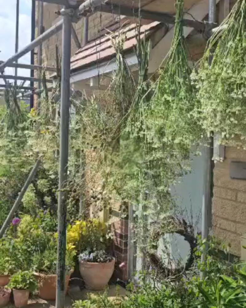 Scaffold used for drying flowers